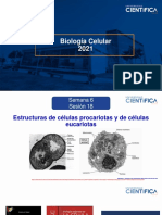 Biología Celular-Reconocimiento de Célula Procariota y Eucariota-6-16