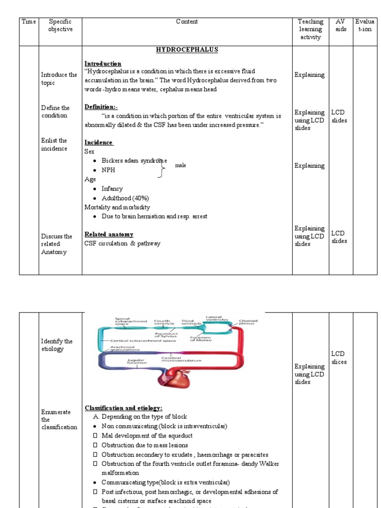 Lesson Plan: Hydrocephalus Overview | PDF | Cerebrospinal Fluid | Neurology