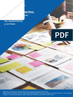 OPM-eBook Tipos de Proyectos.compressed (1)