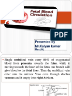 Presented by MR - Kalyan Kumar: MSC (N)
