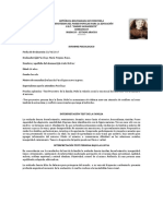 Informe Arelis Bolívar