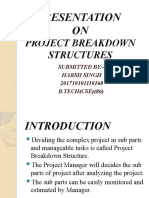 Presentation ON: Project Breakdown Structures
