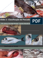 Slides 1 - Classificação Do Pescado - 2017-2018