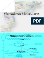 Clase4 Marcadores Moleculares1