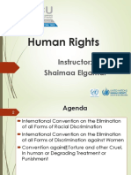 Human Rights: Instructor: Shaimaa Elgamal