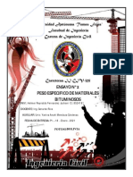 HELMER REYNALDO FERNANDEZ JUCHANI-Ensayo-2pdf.