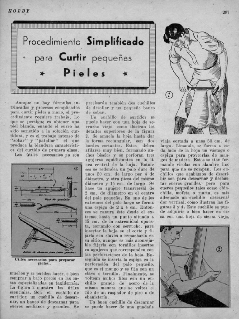 Curtir Pieles Modo Sencillo