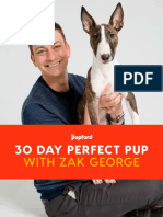 30 Day Perfect Pup With Zak George
