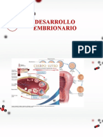 Desarrollo Embrionario