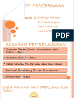 Sistem Pencernaan Kelompok 5