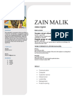 Zain Malik: Steno Typist