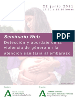 Programa Violencia Generov2