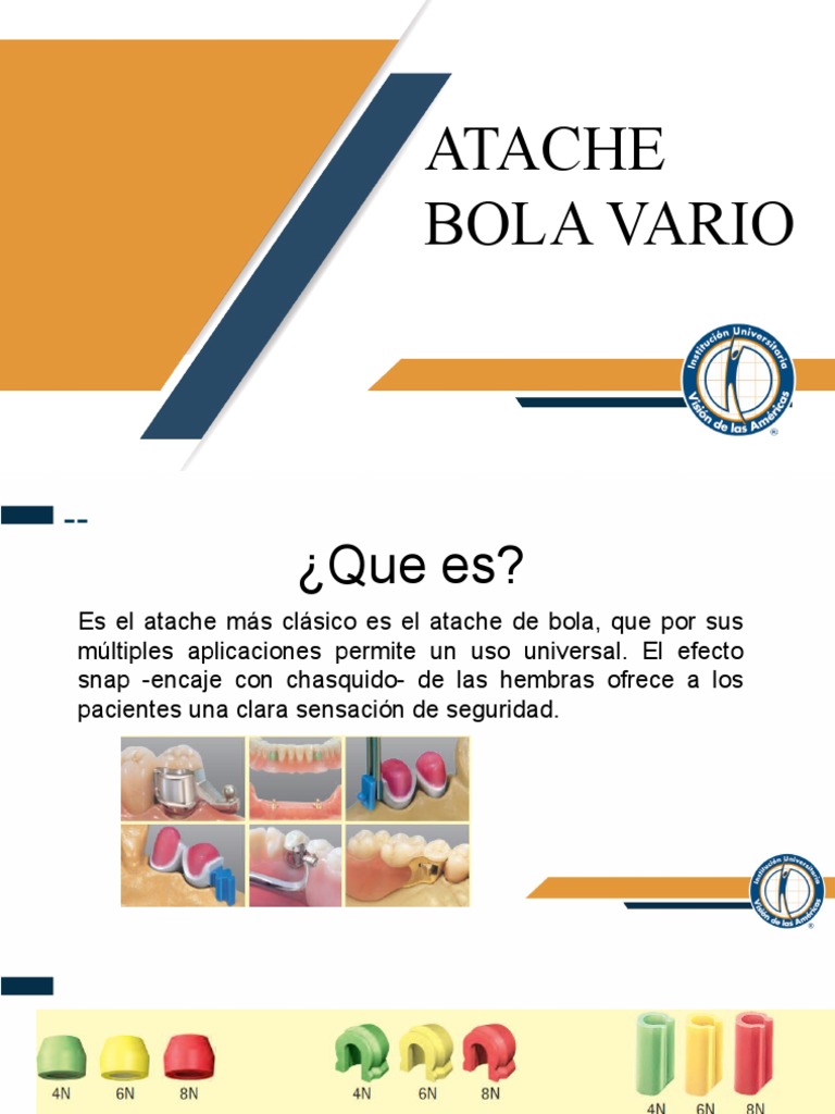 Atache en Bola | PDF | Naturaleza