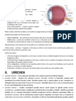 Biologie Sinteza Test Organe de Simt