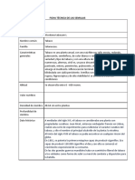 Ficha técnica de las semillas de tabaco