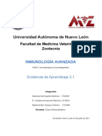 Evidencia 3.1, Inmunología Avanzada