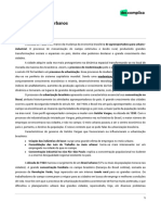 Bixosp-geografia-Problemas Sociais Urbanos-11-07-2019