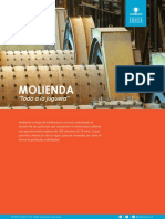 Molienda