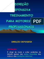 Treinamento Direçao Defensiva