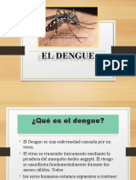 Prevencion Dengue