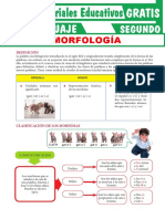 La Morfología para Primer Grado de Secundaria