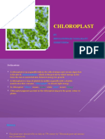Chloroplast: BY Bhuvaneswari - Vaddamanu 2020BTT03034