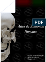 Atlas de Anatomia Humana 2019