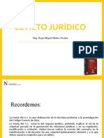 Acto Jurídico, Upn