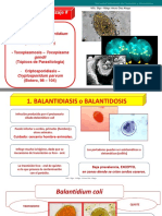 PARASITOLOGIA (3)