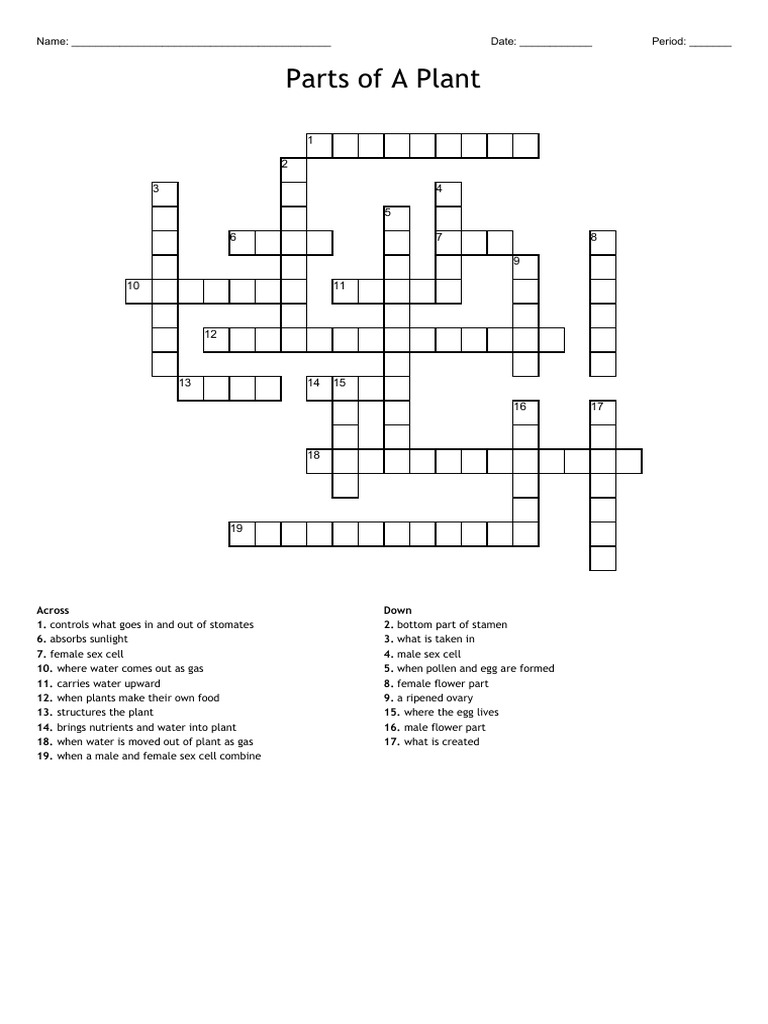 Parts of A Plant (Crossword) PDF