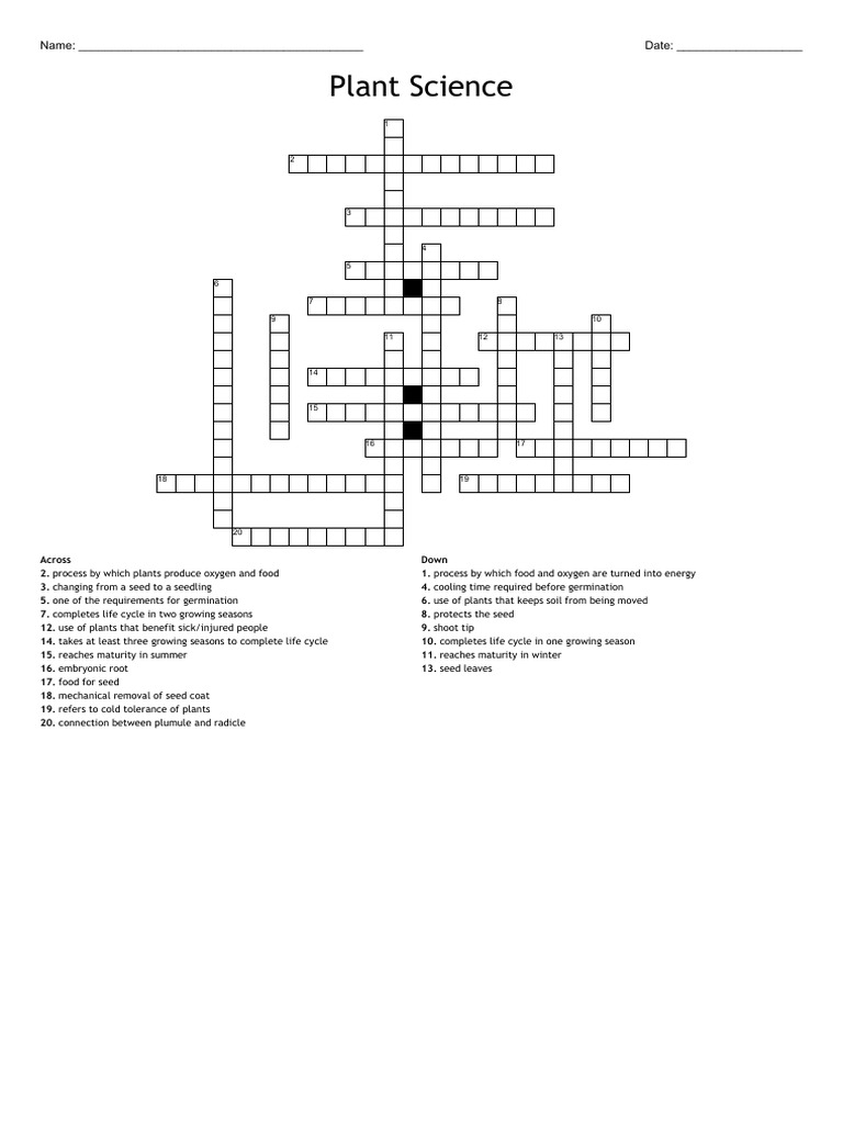 Plant Science (Crossword) PDF Seedling Seed