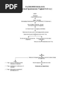 Case study normal delivery picture