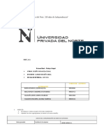 Diseño Organizacional - Examen Final