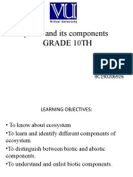 Ecosystem and Its Components Grade 10Th: Presented By: Sofia Tariq BC190206926