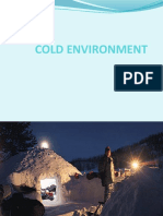 Cold Environment