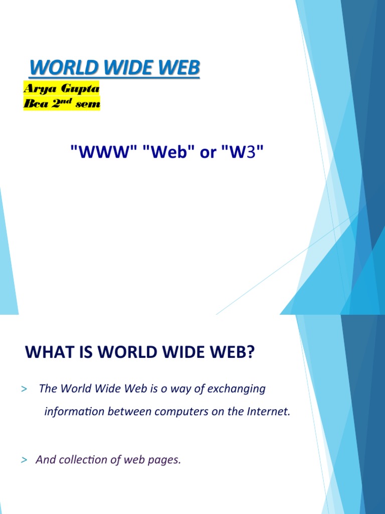 Understanding the World Wide Web Basics | PDF
