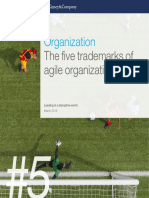 Organization: The Five Trademarks of Agile Organizations