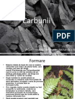 170307381-Proiect-carbuni-geografie