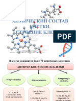 Клетка. Хим. сост. Эукар. клетки