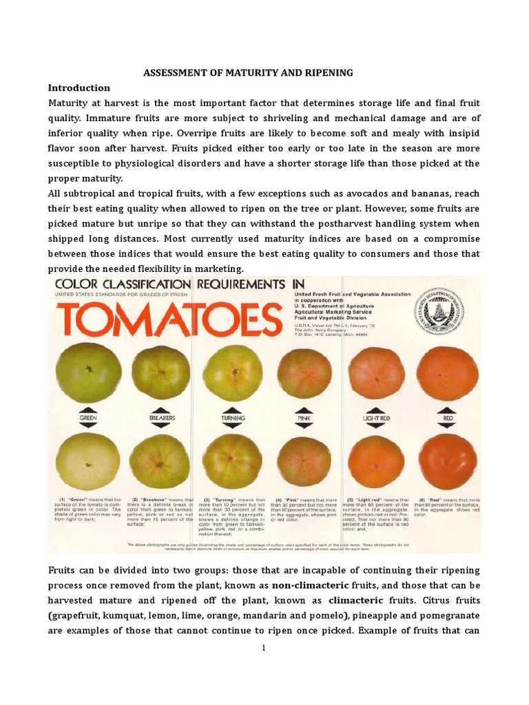 Maturity Indices in Fruit Harvesting | PDF | Science | Biology