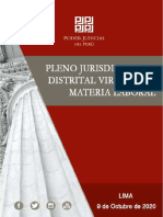 Pleno Jurisdiccional Virtual en Materia Laboral