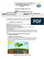 Fase 5 Ciencias Naturales Cuarto