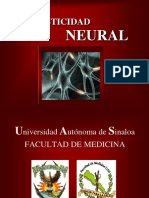 plasticidadneural-090528163939-phpapp01