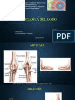 codo semiologia