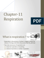 Chapter-10 Respiration, Class-7