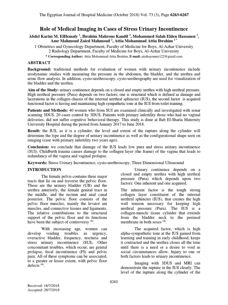 Role of Medical Imaging in Cases of Stress Urinary Incontinence | PDF ...