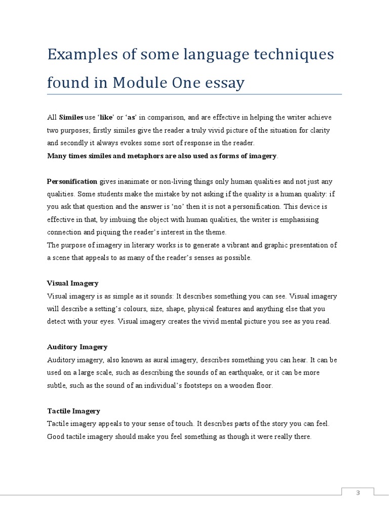 Language Techniques in Essay Writing | PDF | Mental Image | Essays