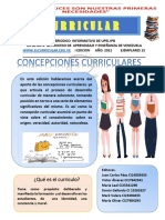 Periodico Concepciones Curriculares Upel Ipb