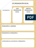 Organización Social