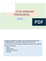 1-Struktur Jaringan Periodontal